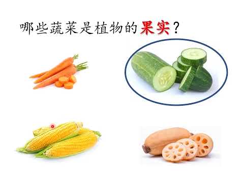 蔬菜各部分 Parts of vegetables   学前教育班Preschool 幼儿园 Prasekolah   学习中文 Learning Chinese | 科学 Science 2