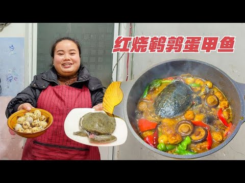 1斤甲鱼，22个鹌鹑蛋，一起这样煮一锅，下饭太香了【梅子美食】