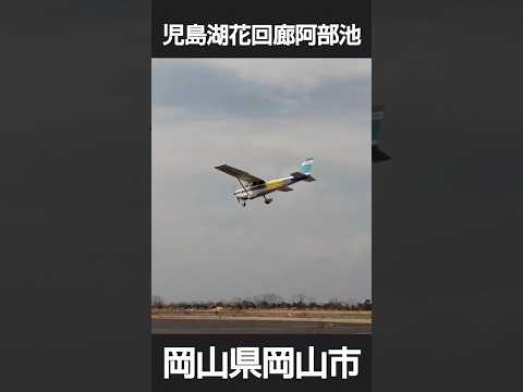 児島湖花回廊、飛行機と河津桜