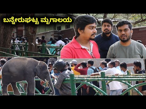 Zoo ನೋಡೋಕೆ ಏನ್ ಜನ ಗುರು..😳 | Bannerghatta Zoo And Safari | @nameismadhu | Likhith Shetty Vlogs |