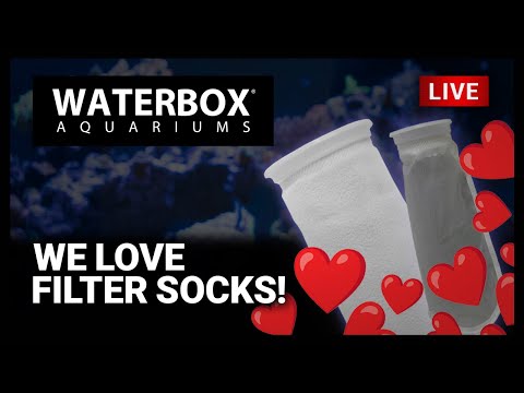 Episode 156: We love filter socks. Join us on and we'll let you know why.