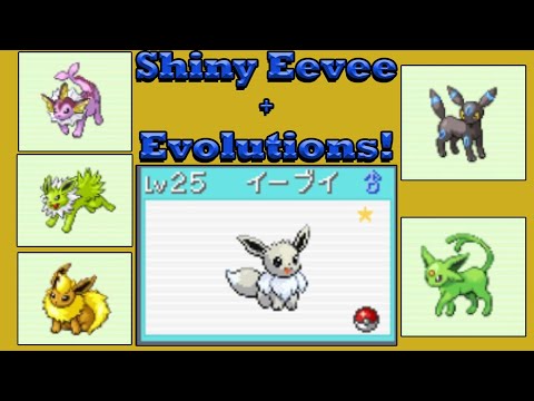 Shiny Eevee In FireRed After 16,200 SR's!!! Showcase & Evolutions.