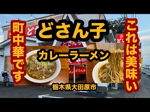 【栃木グルメ】どさん子（大田原市）老舗の町中華でカレーラーメン＆半ライスを食べてみた