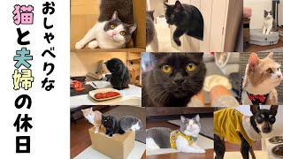 おしゃべりな猫と夫婦の優しい休日【未公開シーンあり】521話