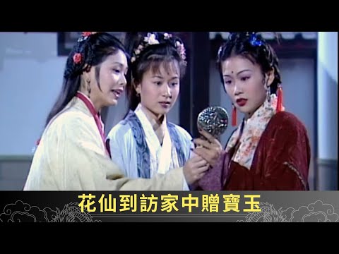 花仙到訪家中贈寶玉 十四娘害怕三年之劫到來 - 聊齋(貳) 花醉紅塵 ep24 梁小冰 譚耀文 吳美衍 在線重溫