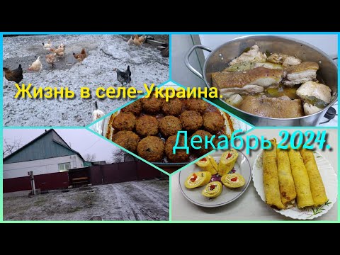 село-Купянский р-н/Когда закончится война🙏Что готовлю,то и показываю🤗