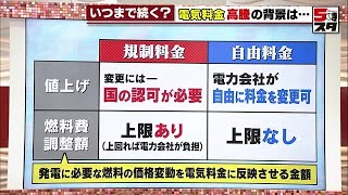 【電気料金】高騰の原因は？　電力の「規制料金」と「自由料金」についても徹底解説 (2023年2月28日)