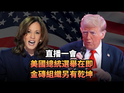 美國總統選舉在即 金磚組織另有乾坤|438 直播一會|《平台一文》|#中國 #美國 #大選 #總統 #特朗普 #賀錦麗 #哈里斯 #金磚