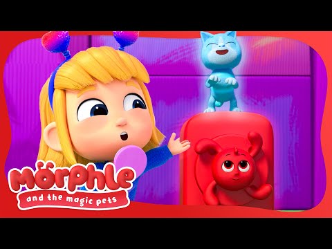 Magic Pet Talent Show! | Morphle and the Magic Pets | Available on Disney+ and Disney Jr