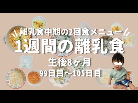 【離乳食中期】1週間の離乳食メニュー【生後8ヶ月】