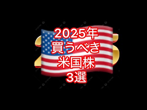 ココからが勝負だ！2025年買うべき米国株を3選！