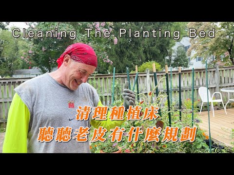 【華園花道】清理種植床，看我發現了什麼寶貝。老皮繼續建露台，聽聽他的規劃。午餐吃煎餅夾青豆奶酪，簡單又好吃｜Cleaning The Planting Bed｜Tortilla With Cheese