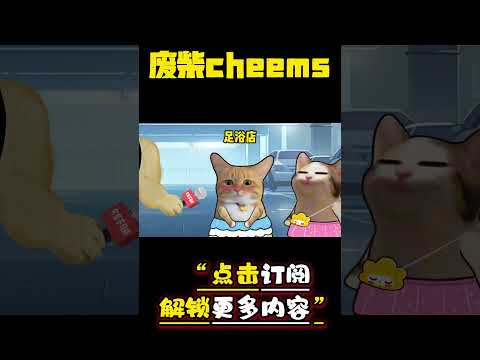 最受不了男生什么？ #cheems #爱情 #搞笑 【废柴cheems】