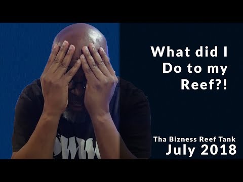 What Did I Do To My 180g Reef?!?! July 2018 Update