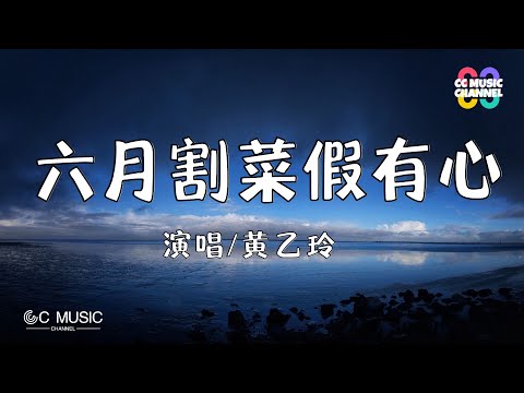 黃乙玲 - 六月割菜假有心【动态歌词lyrics video】【高音质 动态歌词lyrics】【動態歌詞/Vietsub/Pinyin Lyrics】🎵