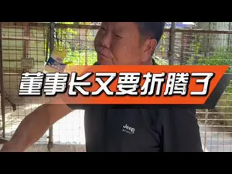 董事长又要折腾了。。 董事长总经理工厂日常