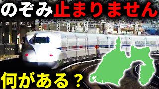 【いつも通過】のぞみが止まらない県・静岡には何がある？1泊2日弾丸旅行！