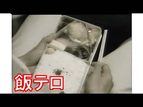 【飯テロ】駅弁２　夜汽車の男