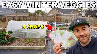 The 5 EASIEST Winter Veggies To Grow RIGHT NOW!