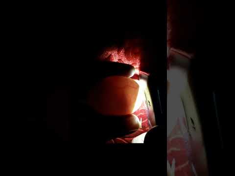 CANDLING CHICKEN EGGS DAY 14 #Viral #Shorts