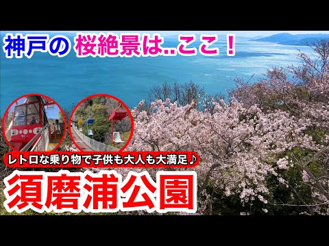 【神戸観光】絶景！海と桜のコラボレーション 須磨浦公園を堪能♪