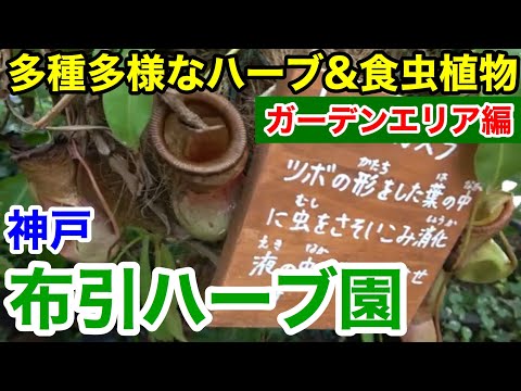 【神戸観光】ハーブの香りを満喫&食虫植物の恐怖！ 神戸布引ハーブ園 〜ガーデンエリア編〜