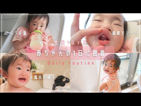 【生後10ヶ月】赤ちゃんの1日に密着/パパが帰るまでワンオペ/3回食・完ミ・つたい歩き/タイムスケジュール