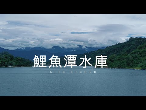 鯉魚潭水庫 | 車亭服務區車泊 | 高美濕地