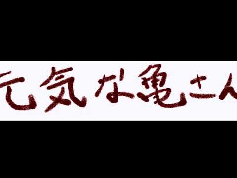 「元気な亀さん」 ラジオ特番　音のみ