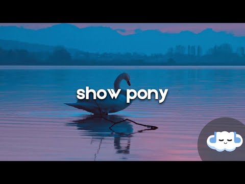 Glass Animals - Show Pony (Clean - Lyrics)