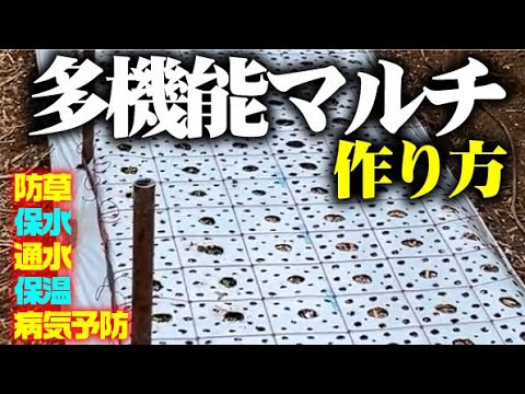 【こんなマルチみたことありますか？】穴あきマルチは良いこといっぱい。【マルチ】