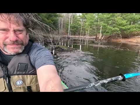 Rescuing the Goose Raft