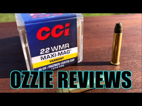 CCI 46gr SHP 22 Magnum Accuracy Test