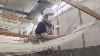 手延べそうめん作りが最盛期　半もどし製法、コシ強くのどごし滑らか　愛知・安城市