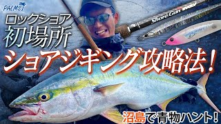 兵庫県沼島で青物ハント！初場所でショアジギング攻略！