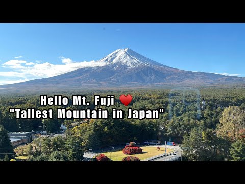 ROADTRIP GOING TO MT. FUJI | Kawaguchiko, Japan 🇯🇵 #mtfuji #japantravel #roadtrip