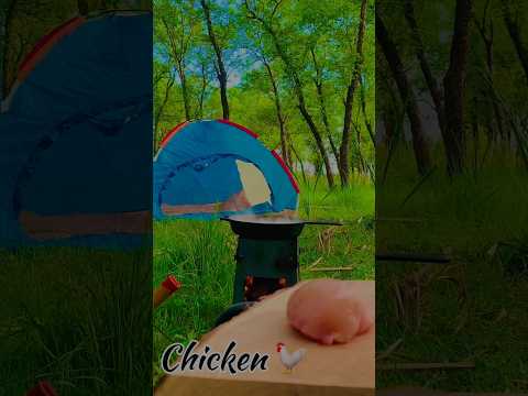 Fried rice 🌾 #asmr #forest #forestcamping #forestcooking #woodstove #cookyourself #solo