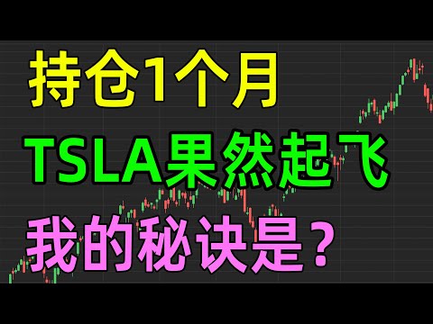 美股收评1108，持仓1个月，TSLA果然起飞，我的秘诀是什么？