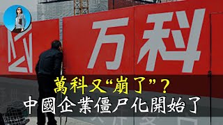 萬科為什麼還沒倒？萬科其實是個“良心企業”，秘密都在財報裡！中國企業僵尸化開始了！｜小翠時政財經 [20250111#652]