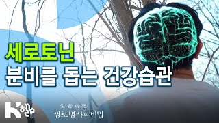 세로토닌 분비를 돕는 건강습관 - 730회(20.04.29) 바꿔야 산다 습관 혁명