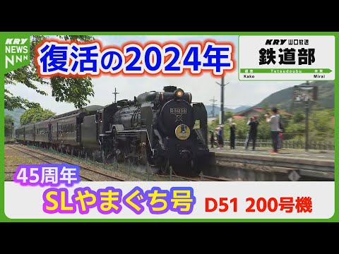 【SLやまぐち号】蒸気の浪漫が再び山口を駆け抜ける45周年-2024年