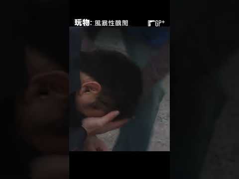 馬叔也有被打的份！？馬東石飾演追求真相的記者！#玩物：風暴性醜聞 #馬東石 | GP+熱播中 #Shorts