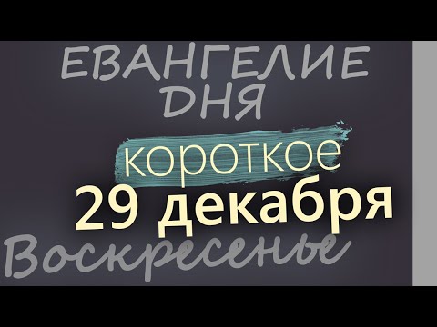 29 декабря, Воскресенье. Евангелие дня 2024 короткое! Рождественский пост