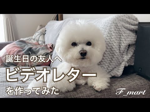 誕生日を迎えたお友だちに送ったビデオレターが上出来だったためYouTubeにアップしました（了承済）　-ビションフリーゼ犬-