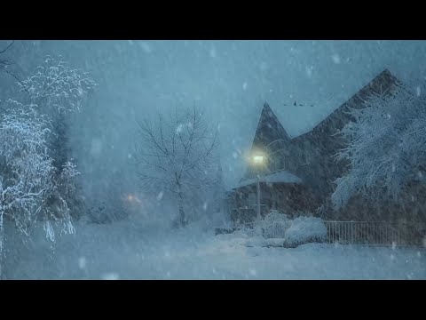 Relax with the Powerful Sounds of a Snowstorm |Howling Winds Help you Sleep Better & Reduce Stress