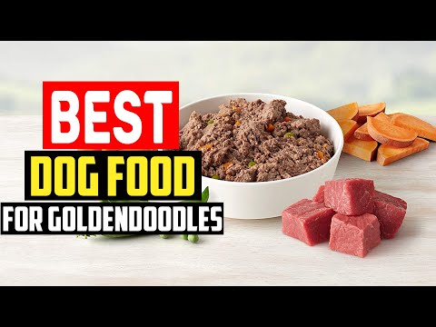 ✅ Top 5 Best Dog Food for Goldendoodles in 2023