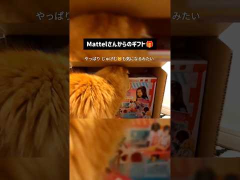 Mattelからの贈り物②　#shorts