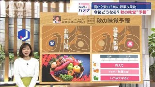 ブドウ・ナシ…「秋の味覚」価格どうなる？　スーパー社長に聞く、お得な野菜＆果物【スーパーJチャンネル】(2024年10月8日)