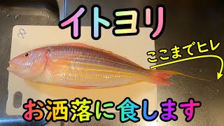 【イトヨリ】ムニエルと湯引きでワインDINNER【イトヨリダイ】