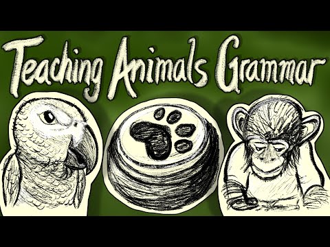 Teaching animals to be grammatical – Can Animals Grammar? #2